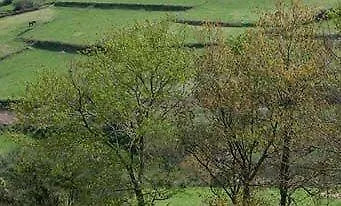 O Bergando Country house *