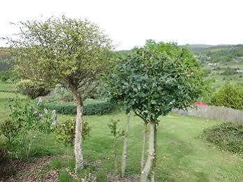 Country house O Bergando *