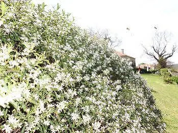 Country house O Bergando Cotobade