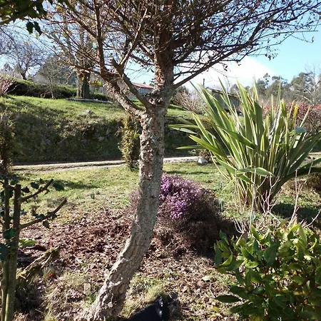 Casa rural O Bergando *