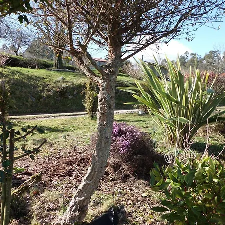 Casa rural O Bergando *